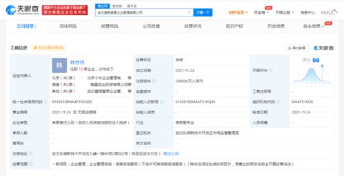 注冊(cè)資本20億元！小米在武漢成立企業(yè)管理公司，赤壁企業(yè)網(wǎng)站建設(shè)迎來(lái)新啟示